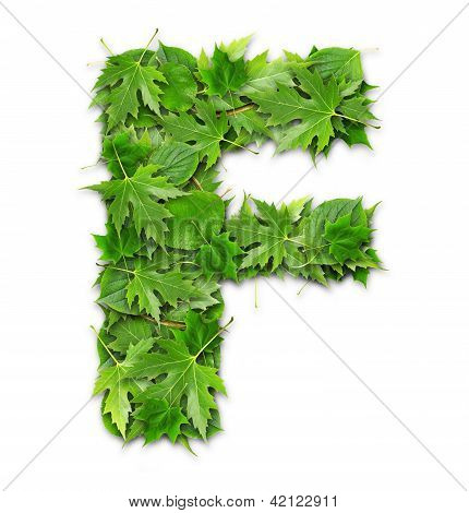 La lettre des feuilles