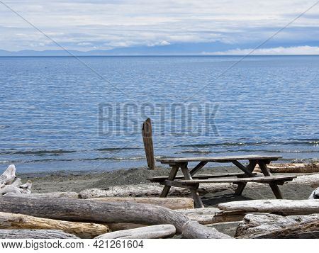 Driftwood Beach