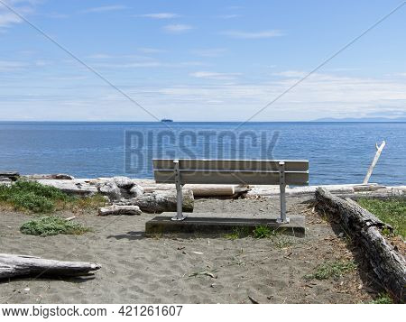 Driftwood Beach