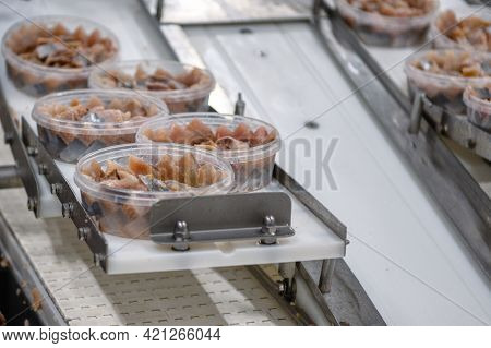 Herring Preserves In Plastic Cans On A Conveyor.