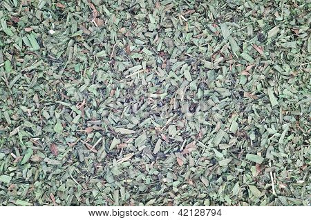 Chopped Tarragon For Use As Background