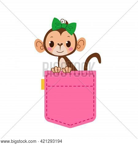 A Cute Pocket Of Pink Jeans From Which A Monkey Girl With A Bow On Her Head Peeps. Women S Clothing.