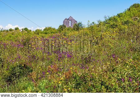 Beautiful Sunny Landscape. Montenegro, Ulcinj Municipality. Meadow With Wildflowers Near Old Town Sh