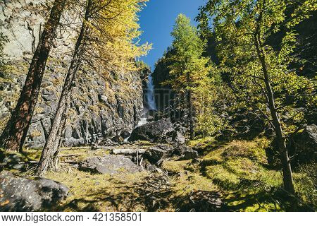 Mountain Autumn Landscape With Vertical Big Waterfall And Yellow Larch Trees. Large Waterfall In Nar
