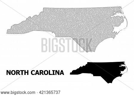 Polygonal Mesh Map Of North Carolina State In High Detail Resolution. Mesh Lines, Triangles And Dots