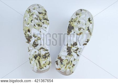 Dirty White Outsole On A Pair Of Sneakers. White Background. View From Above.