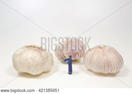 The Mini Figure Of Jiangshi With The Garlic