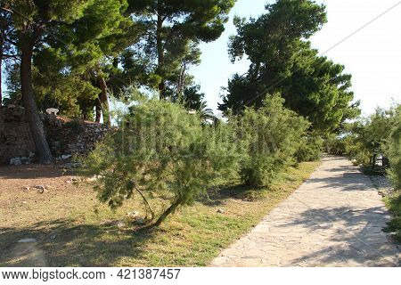 Walkway Around Old Cemetery In Town Supetar, Island Of Brac, Pines Around