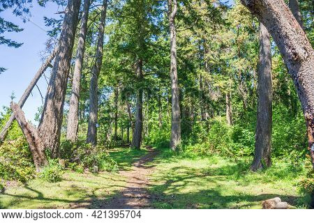 A View Of A Wooden Feance And Path At Saltwater State Park In Washington State.