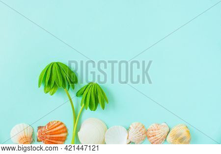 Summer Background. Seashells And Palm Tree On Minimal Blue Background. Place For Your Text.