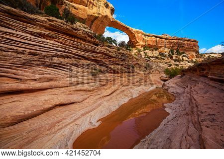 Owachomo Bridge in Natural Bridges National Monument , Utah, USA