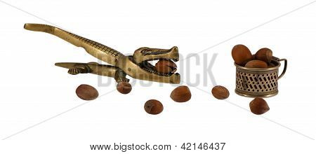 Coccodrillo in acciaio dado schiacci strumento Cup Cobnut