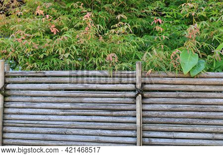 The Japanese Old Style Bamboo Fence Panel