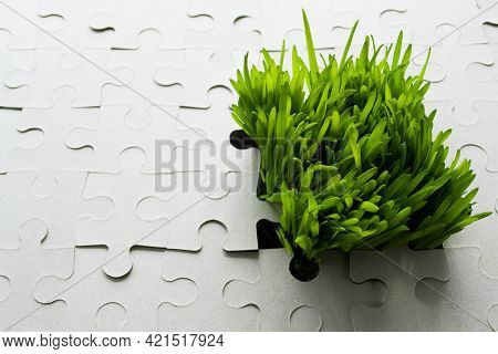 Background Of The Cardboard Puzzle Without Pattern. Bright Green Grass Grows Through The Hole, As If