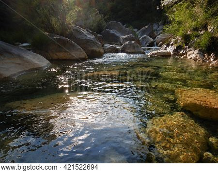 Rio Barbaira Stream, Rocchetta Nervina, Liguria - Italy