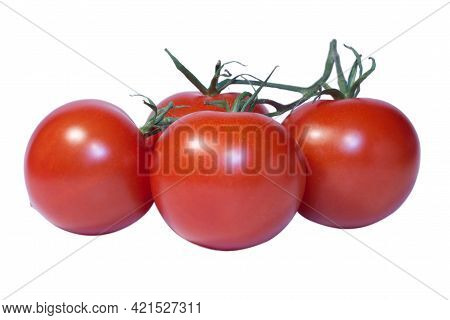 Tomatoes On Vine Isolated On White Background Close Up Photo. High Quality Photo