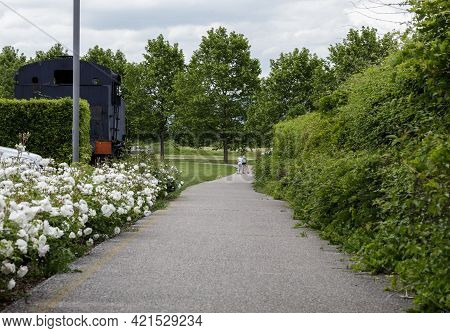 Affi, Italy - 05 21 2021: The Beginning Of The Cycle Path With The Red Roses On The Left, The Ancien
