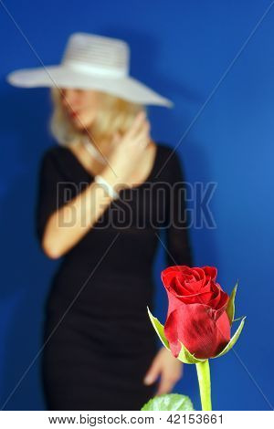 Røde rose for en pige på Valentinsdag