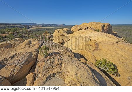 Sandstone Bluff Rising Out Of A Lava Plain In El Malpais National Monument In New Mexico