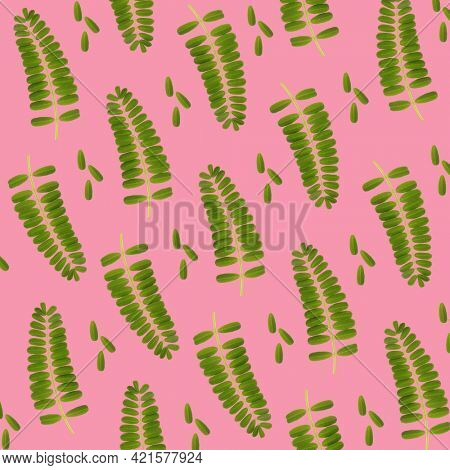 Beautiful plant leaves art concept pattern background. Abstract natural foliage on pink layout