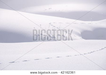 snowscape with track