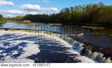 Flying Fish At Ventas Rumba Waterfall. The Widest Waterfall In Europe In Latvia Kuldiga Also Called 