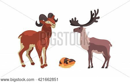 Polar Animals Set, Arctic Reindeer, Lemming And Mountain Goat Cartoon Vector Illustration