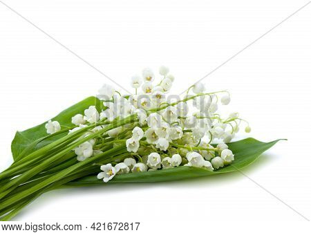 White Flowers With Green Leaves, Lily Of The Valley ( Convallaria Majalis, May Bells, May-lily ) On 