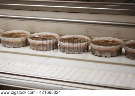 Herring Preserves In Plastic Cans On A Conveyor.