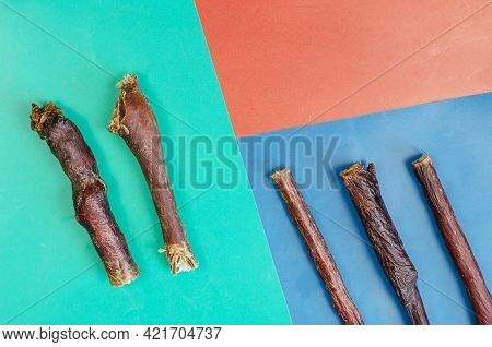 Sticks Of Treats For Dogs On A Three-color Background. Five Chewy Goodies. Dried Beef Esophagus. Pet
