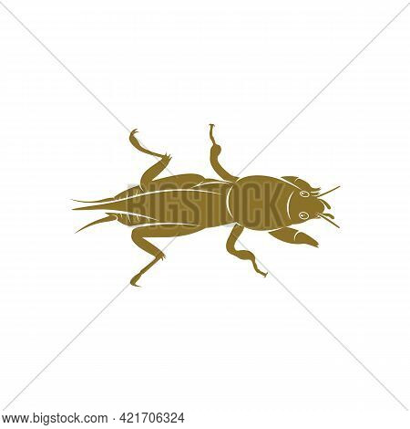 Mole Cricket Design Vector Illustration, Creative Mole Cricket Logo Design Concept Template, Symbols