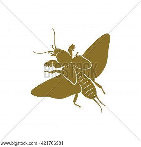 Mole Cricket Design Vector Illustration, Creative Mole Cricket Logo Design Concept Template, Symbols