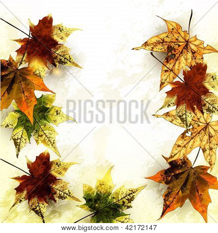 Hösten Grunge bakgrund med Mapple Leafs