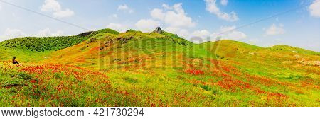 Beautiful Summer Field With Poppy Flowers And Young Caucasian Woman Sit And Enjoy Nature Panorama Wi
