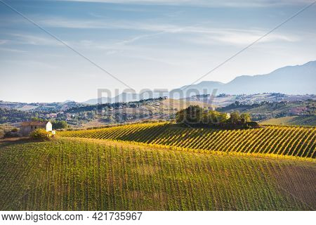 Vineyards And Winery On Hills, Farming And Wine Pruduction