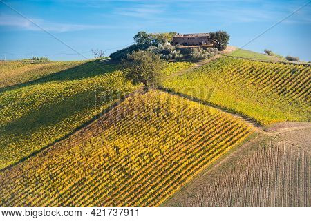 Vineyards And Winery On Hills, Farming And Wine Pruduction
