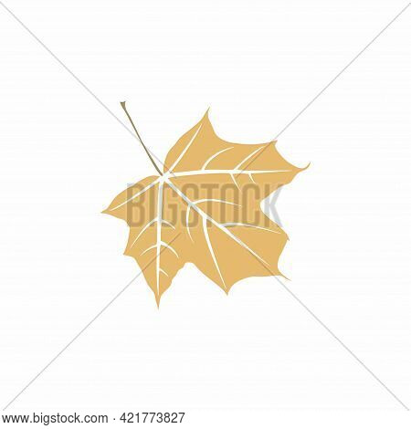Graceful Ochre Leaf. Flat Twig. Vector Isolated Element. Garden Plant. Icon. Summer Or Spring Design