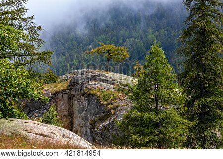 Green trees grow on the rocks and forest on the mountain's slope on background in Piedmont, Northern Italy.