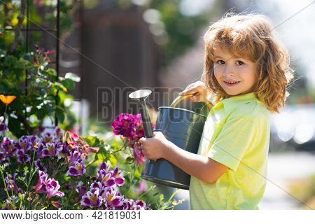 Active Kid Watering Plants On Backyard. Child Helping Arents To Grow Herbs And Flowers In Garden.