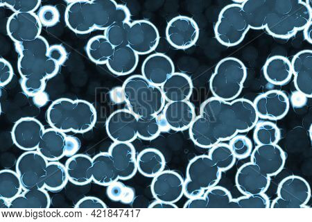 Artistic Beautiful Light Blue Big Amount Of Biological Monadiforms Digital Graphics Texture Illustra