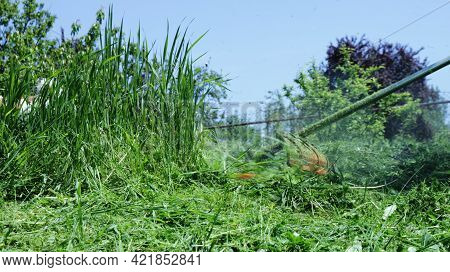 Tall Grass In A Meadow And A Mower Mowing It In The Hands Of A Person Behind The Scenes, A Summer Ba