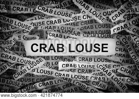 Crab Louse. Torn Pieces Of Paper With The Words Crab Louse. Black And White Image. Closeup.