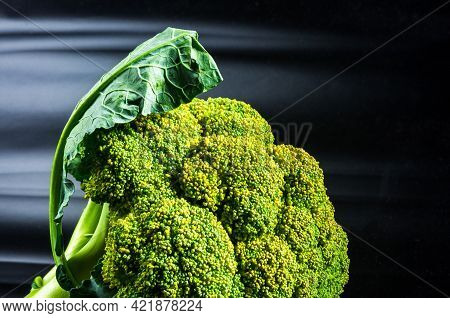 Large Raw Fresh Head Of Broccoli Cabbage On A Black Background, Healthy Vegetarian Food, Close-up