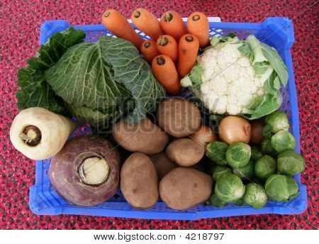 Vegetabilske samling