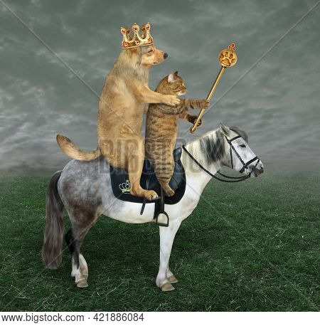 A Beige Dog King In A Crown With A Royal Scepter And A Cat Are Riding A Gray Horse In The Meadow Tog