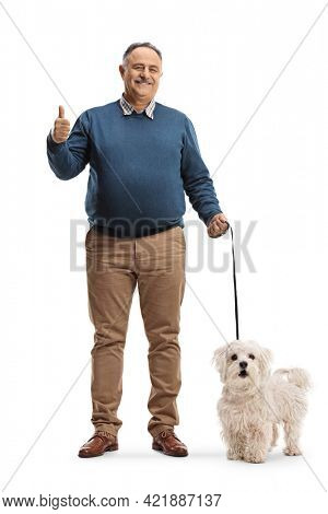 Full length portrait of a smiling mature man with a maltese poodle dog showing thumbs up isolated on white background