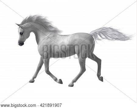 Arabian Horse 3d Illustration - The Arabian Or Arab Is A Distinctive Breed Of Horse Developed In The