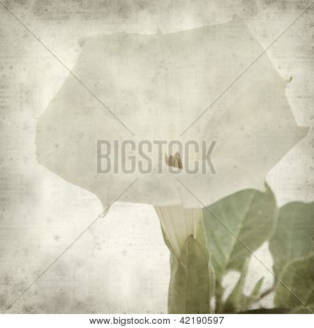 Vecchia carta con texture sfondo