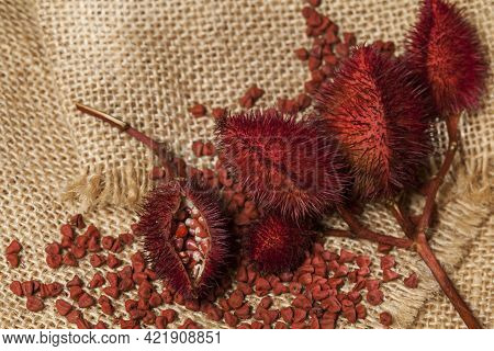 Bixa Orellana - Organic Achiote; Is A Seasoning And Food Coloring.