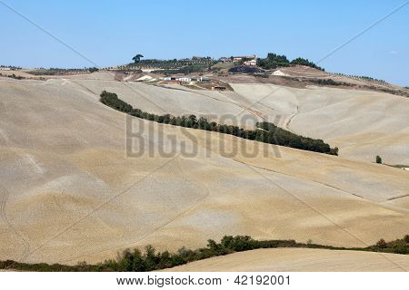 Senesi เกาะครีต